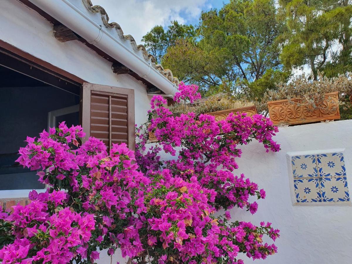 Villa Tonnara San Vito Lo Capo Eksteriør billede